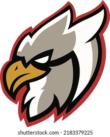 Eagle Mascot logo Design. Brave Eagle Face vector template. Eagle Head design for graphic, Eagle Logo icon Sport Team logo design, Vector Template Illustration, Mascot Brave animal Logo icon for web
