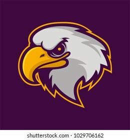 Eagle Mascot Logo For Sport Team