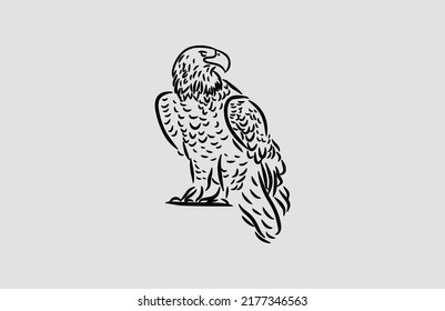 Eagle Minimalist Artistic Vintage Hand Drawn Vector