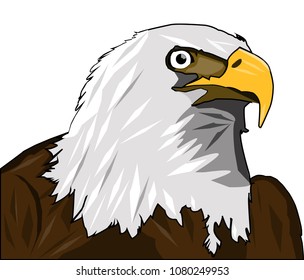 The eagle is in my imagination.
