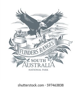 Eagle, national Park Flinders Ranges, South Australia, in gray, illustration, vector