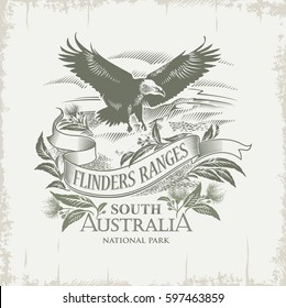 Eagle, national Park Flinders Ranges, South Australia, vintage, Sepia, illustration, vector