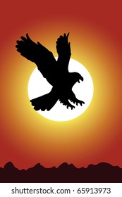 Eagle on a background of red sunset