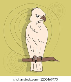 eagle on a colored background, drawing color, vector