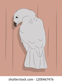 eagle on a colored background, drawing color, vector