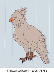 eagle on a colored background, drawing color, vector