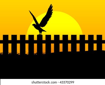 eagle on fence