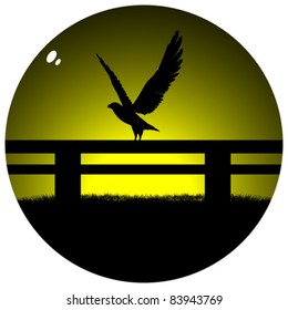 eagle on field