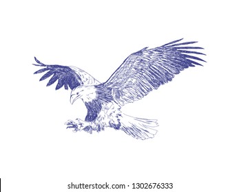 eagle on the hunt