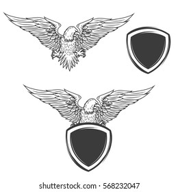 Eagle on shield isolated on white background. Design element for emblem, badge. Vector illustration. 
