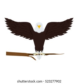 eagle on a tree branch