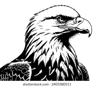 eagle on a white background, vector graphics