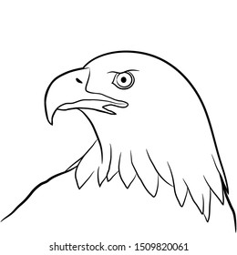 Eagle outline illustration isolate on white background