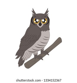 Eagle Owl; Birds; Animals; Vector; Illustration; Birds name; vector;graphics; vector art;cartoon