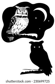 Eagle owl on a branch and his silhouette against the starry sky and moon.