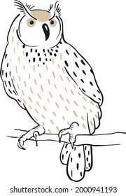 Esbozo de búho de águila aislado en el fondo blanco. Ilustración de pájaro con lápiz dibujado a mano y tinta vintage.