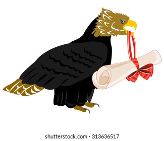 Eagle with paper on white background 
