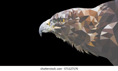 Eagle polygonal graphics vector illustration , Black Background