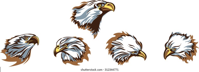 Eagle, portrait, color, flying eagle, the head of an eagle