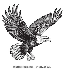 The eagle, predatory bird, flies with outstretched wings. Figure isolated on a white background.