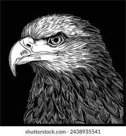 Eagle, predatory bird, linear vector drawing isolated on black background. Head of a wild bird.