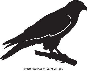 Eagle profile silhouette, hawk perched on wooden branch.