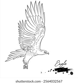 Eagle, realistic bird animal sketch, vector illustration