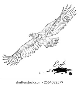 Eagle, realistic bird animal sketch, vector illustration
