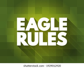 Eagle Rules - principles or behaviors that reflect the power, focus, and vision of an eagle, text concept background