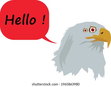 Eagle Says Hello to the World 
