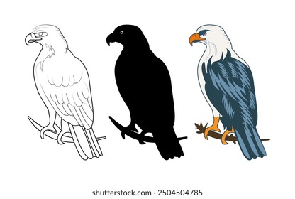 Eagle set or collection vector Illustration. Eagle silhouette, Line art, colorful