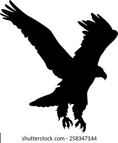 Eagle silhouette