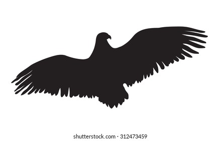 eagle silhouette