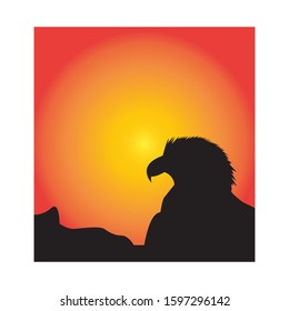eagle silhouette with background of the sunset.
