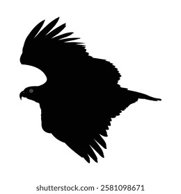 Eagle Silhouette of a bird of prey in flight. Symbol of Eagle vector, Eagle Icon, Eagle Drawing.
