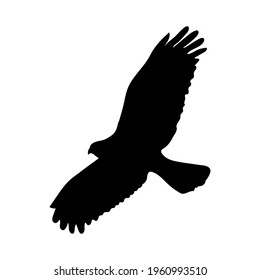 eagle silhouette, drawing, vector illustration