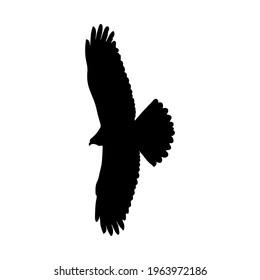 Eagle silhouette drawing, vector illustration