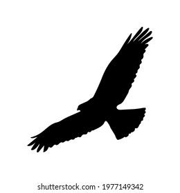 eagle silhouette drawing, vector illustration