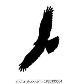 eagle silhouette drawing, vector illustration