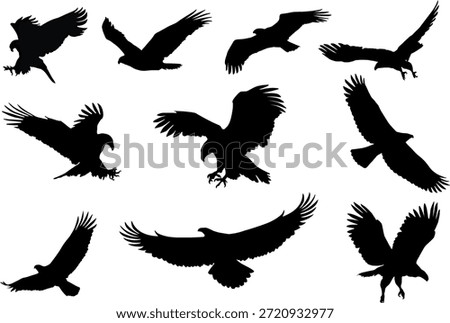 eagle silhouette, fliying bird silhouette