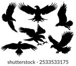 Eagle silhouette. Flying hawk. Black and white freedom symbol. Falconry hunting. Flight predator soaring. Animal with wings. American heraldic sign. Graphic print. Vector fauna icons set