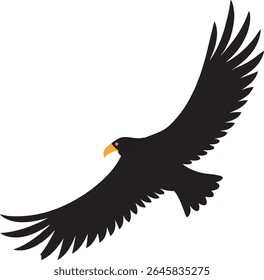 Eagle Silhouette Flying Sky Wildlife Design