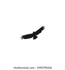 Eagle silhouette icon vector on a white background