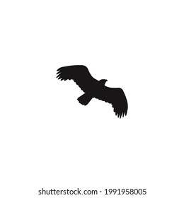 eagle silhouette icon vector on a white background