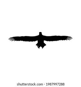 eagle silhouette isolated on white background