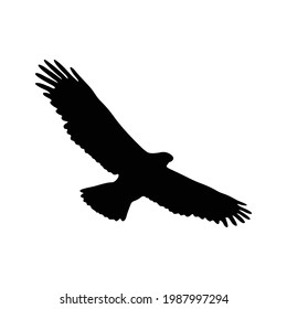 eagle silhouette isolated on white background