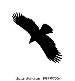 eagle silhouette isolated on white background