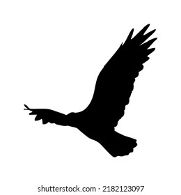 Eagle silhouette isolated on white background. Eagle flying sign. vector illustration