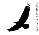 Eagle, silhouette of eagle, Eagle logo, icon, Logo, Vector graphic of eagle icon. Black and White Silhouette EPS10