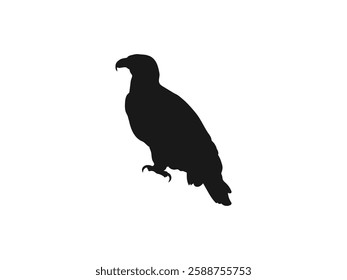 Eagle silhouette logo symbol design illustration. eagle icon illustration isolated vector sign symbol. Minimal design, minimalist logo vector. vector on a white background.